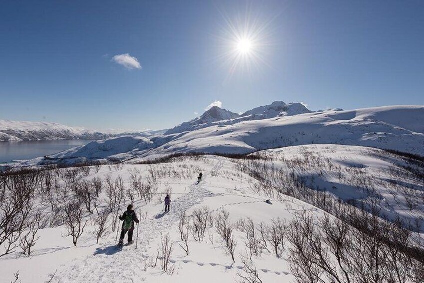 Small-group Snowshoeing Tour from Tromso