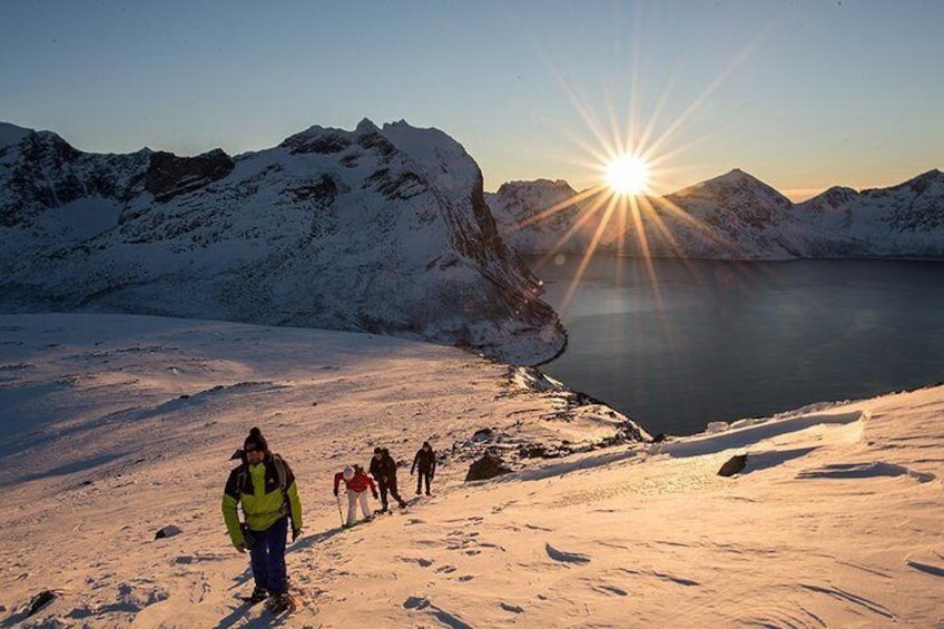 Snowshoeing in Tromso