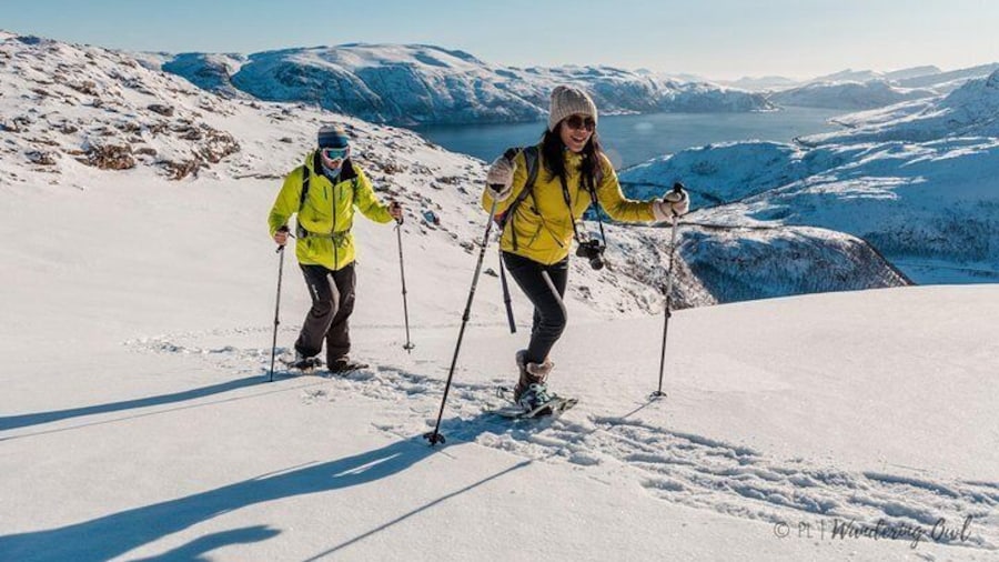 Lucky snowshoers under the sunny light of early spring