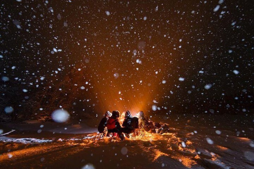 Small-Group Aurora Hunt Northern Lights Tour from Tromso