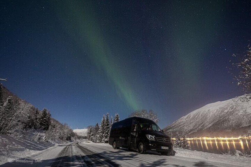 Aurora Hunt Tour with Citizen Science from Tromso - Professional Photos Included