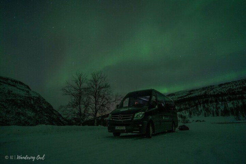 Aurora Hunt Tour with Citizen Science from Tromso - Professional Photos Included