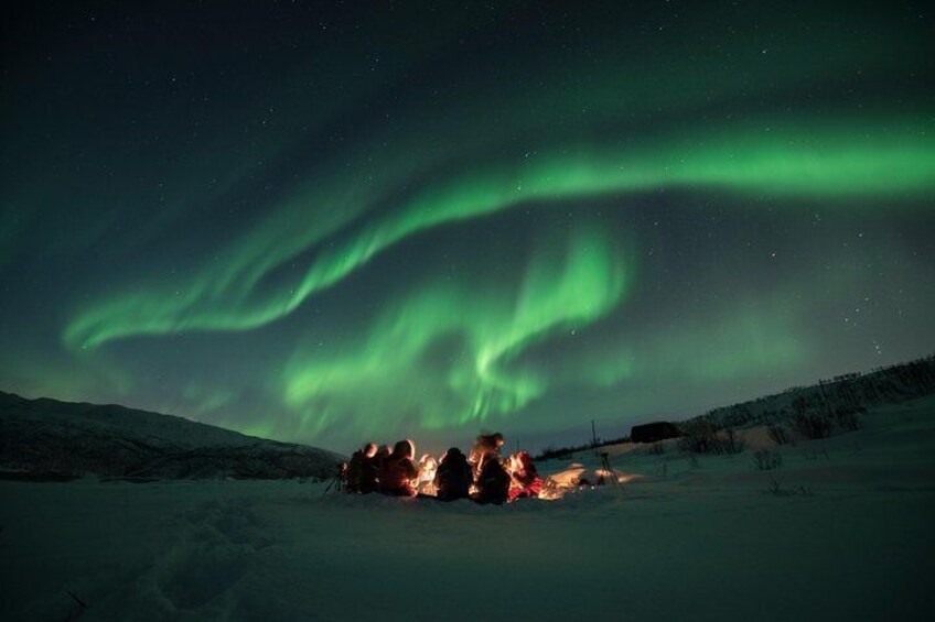 Small-Group Aurora Hunt Northern Lights Tour from Tromso