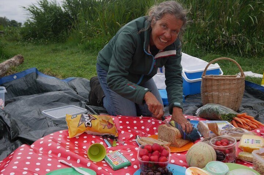 Guided Canoe Adventure with Picnic Lunch in Waterland from Amsterdam