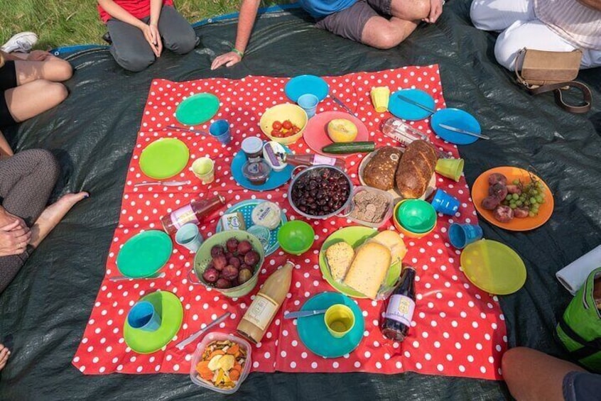 Guided Canoe Adventure with Picnic Lunch in Waterland from Amsterdam