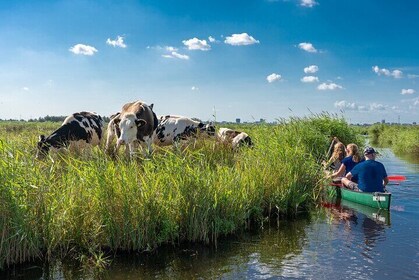 Aventura guiada en canoa con picnic en Waterland desde Ámsterdam