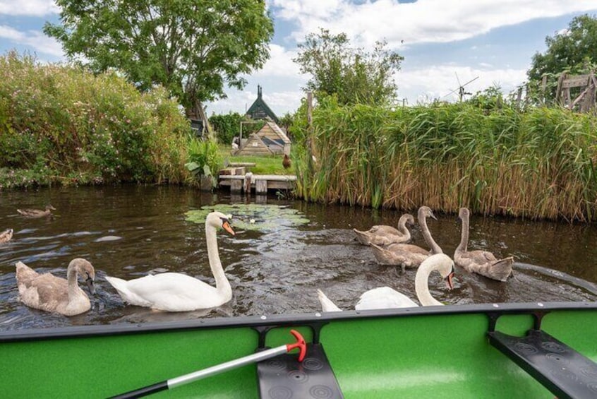 Small-Group Guided Sunset Canoe Tour in Waterland with Dinner