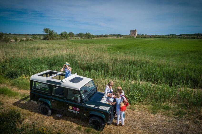 Camargue 4x4 Safari from La Grande Motte (half day trip)