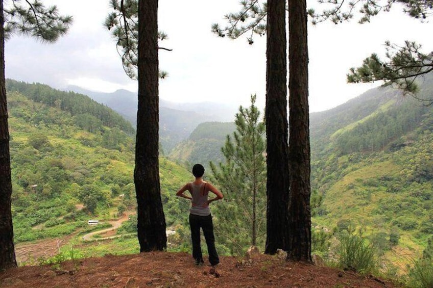 Bambarakanda Water Falls