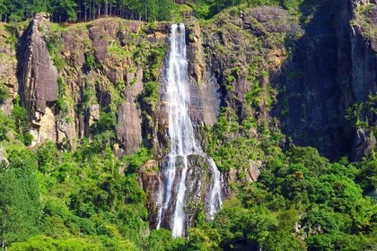 Exclusive : The Highest Waterfall Bambarakanda Trekking