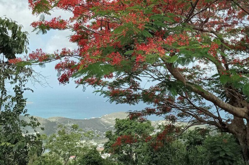St.Martin - St.Maarten: Small Group, Coastal Hike & Swim Tour