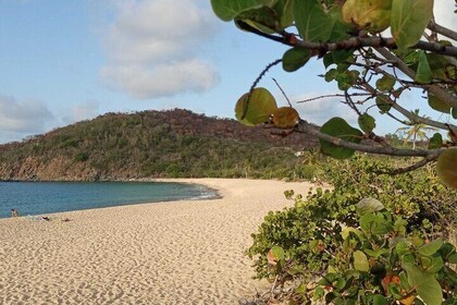 St.Martin - St. Maarten: Small Group, Coastal Hike & Swim Tour