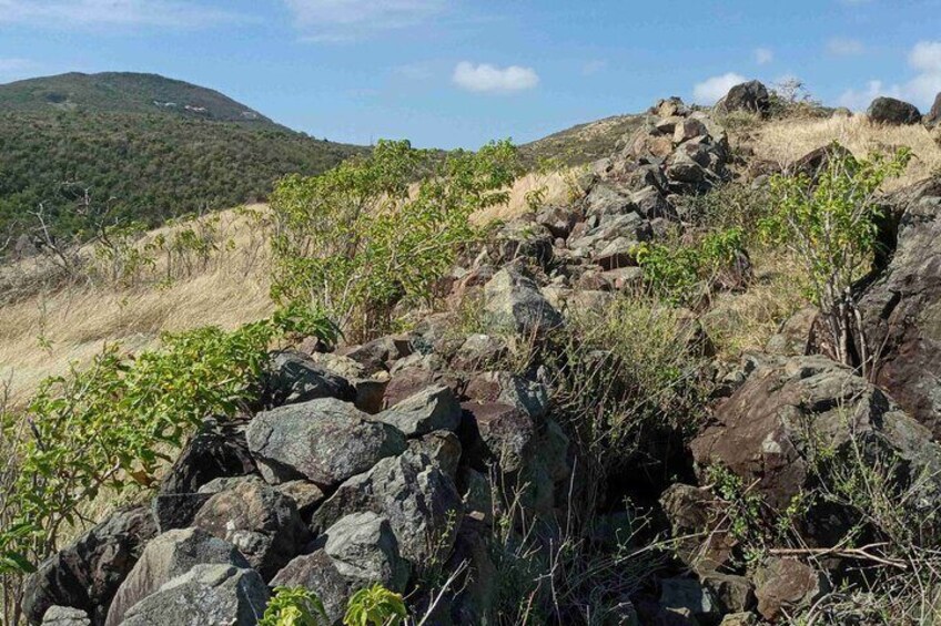Historical Rock Walls