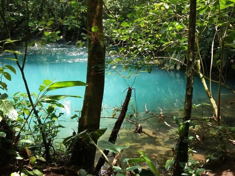 Rio Celeste Day Trip From San Jose