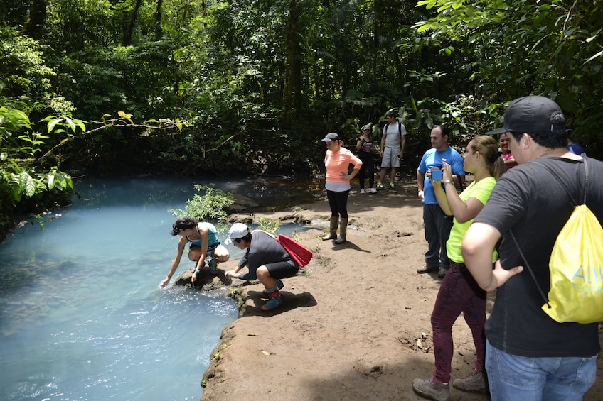 Rio Celeste Day Trip From San Jose