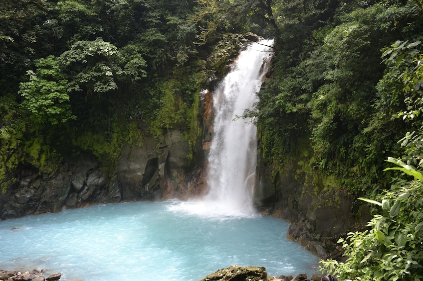 Rio Celeste Day Trip From San Jose