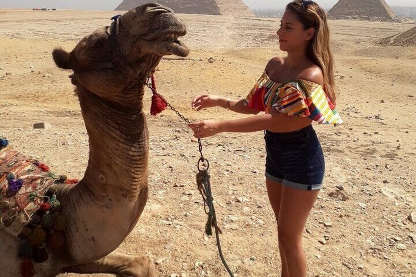 The beauty and the camel