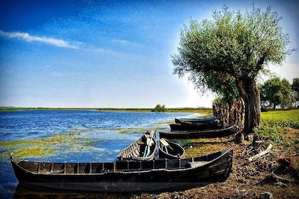 2-Day Private Tour of Danube Delta from Bucharest