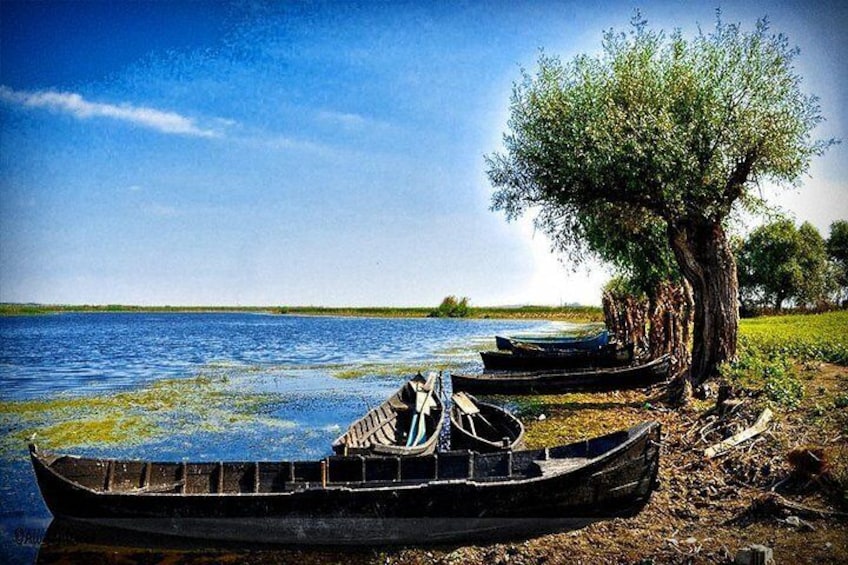 Danube Delta Tour