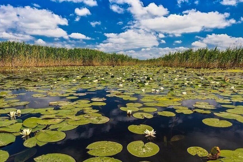 2-Day Private Tour of Danube Delta from Bucharest