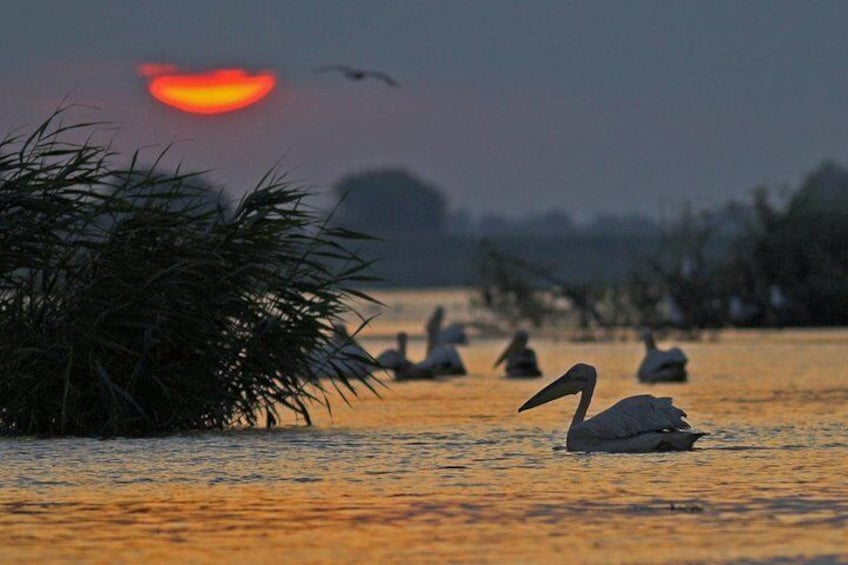 2-Day Private Tour of Danube Delta from Bucharest