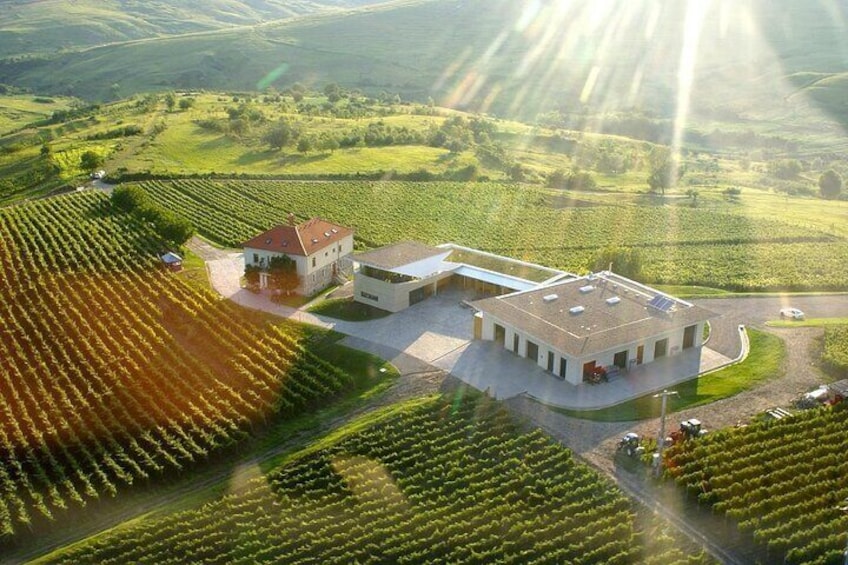 Lacerta Winery