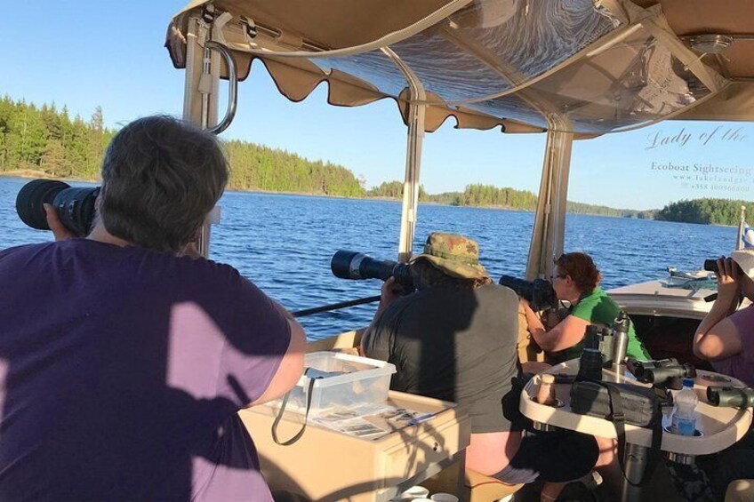 Seal in sight