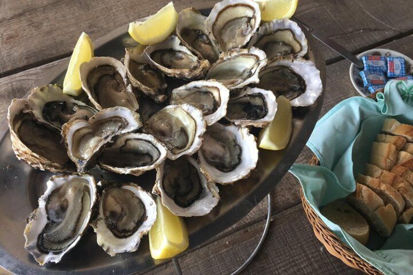 oysters