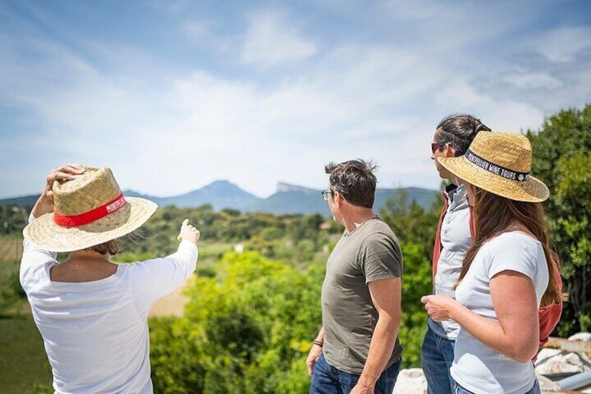 Pic Saint Loup wine tour