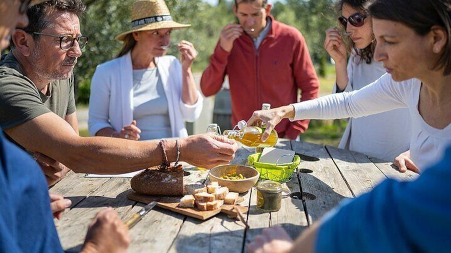 Small-Group Half-Day Languedoc Wine and Olive Tour from Montpellier