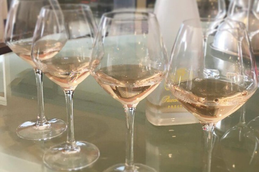 delicious rosé wines
