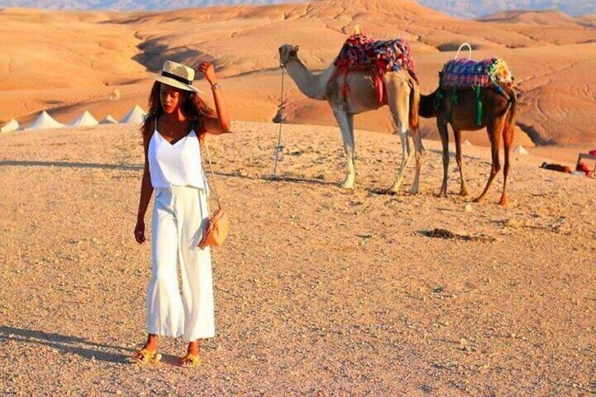 Agafay Desert Sunset, Camel Ride and Dinner from Marrakech
