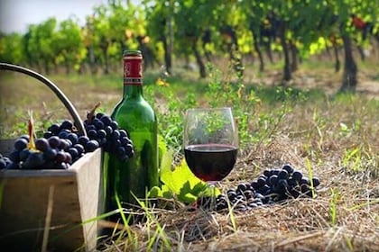 Private Wine Tour to Kakheti from Tbilisi