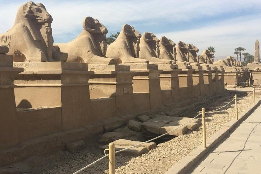 Sphinxes
