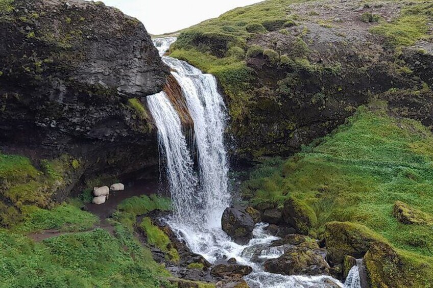 Snaefellsnes Peninsula Private Tour from Reykjavik