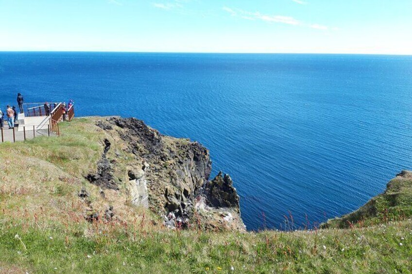 Þufubjarg bird cliff