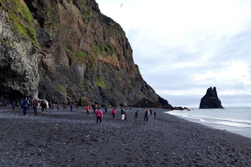 South Coast & Black Sand Beach Private Tour from Reykjavik