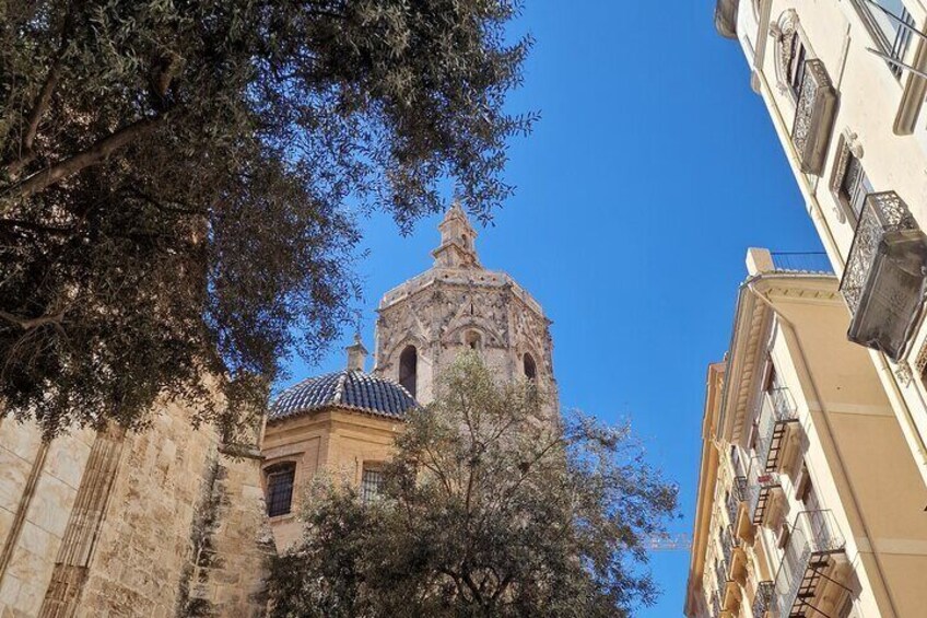 Valencia Private Walking Tour with Official Valencian Guide