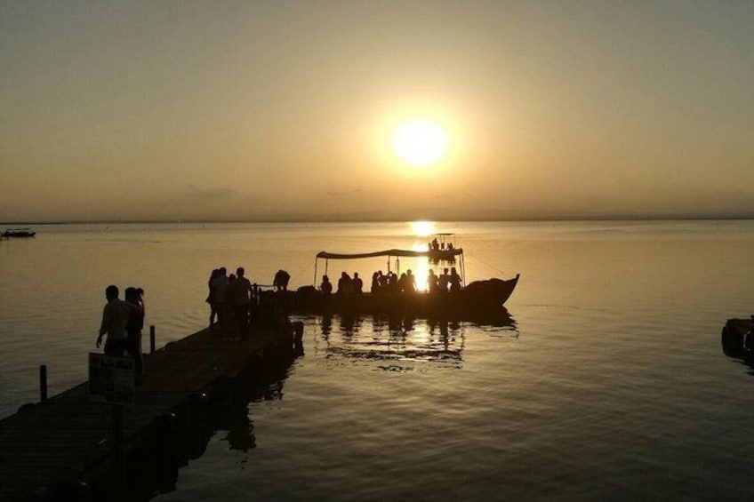 Excursion to Albufera Natural Park