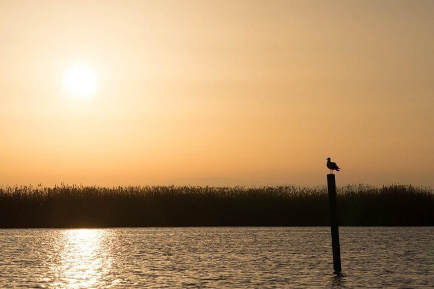 Excursion to Albufera Natural Park