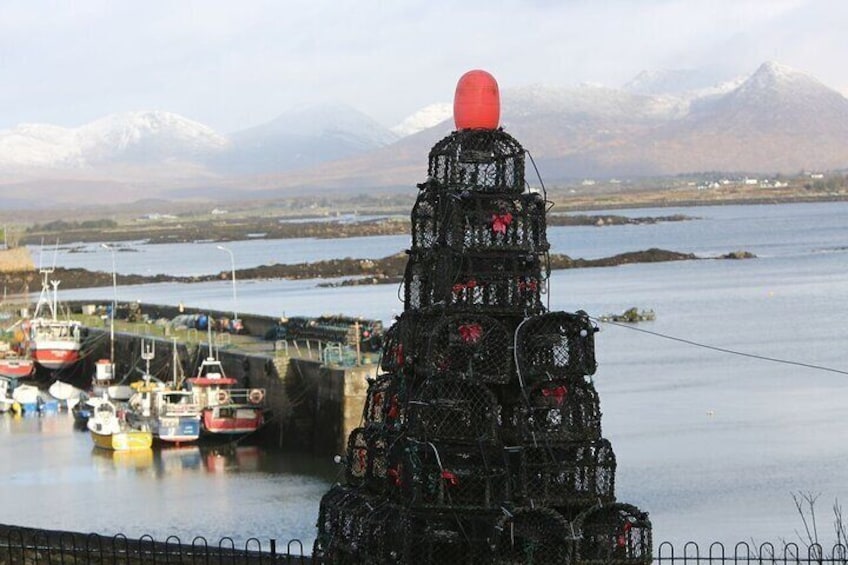 From Galway: Guided tour of Connemara and Connemara National Park.