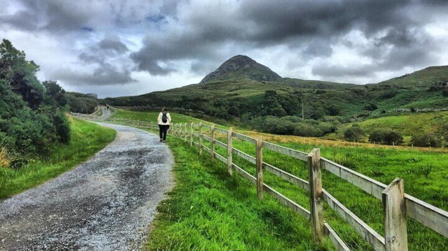 Diamond Mountain, Connemara National Park.