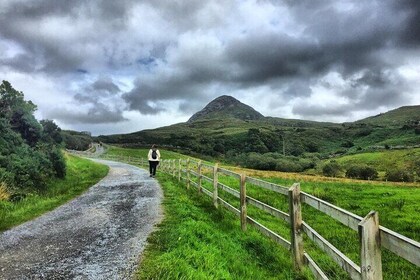 Excursión de un día al Parque Nacional de Connemara o la abadía de Kylemore...