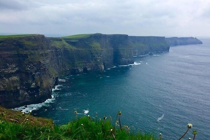 From Galway: Guided tour of Cliffs of Moher and The Burren.