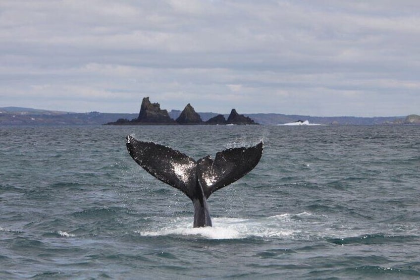 Wild Atlantic Way