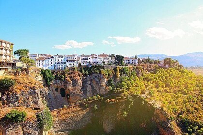 Private tour of Ronda and winery from Malaga with Hotel pick up and drop of...