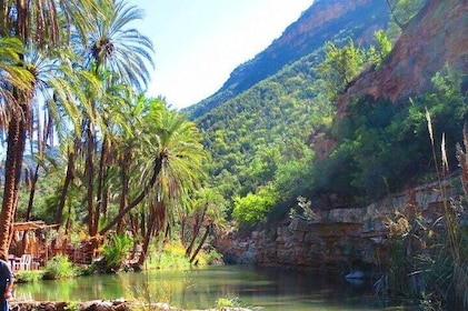 Private geführte Tour zum Paradise Valley und Taghazout Dorf