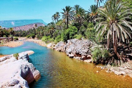 Paradise Valley auf einem geführten Tagesausflug von Agadir