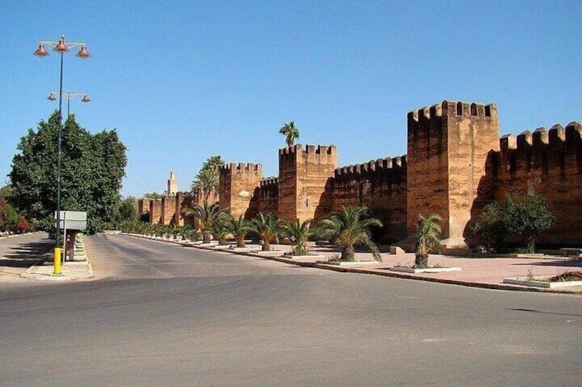 Tiout Oasis and Taroudant Old City Private Day Trip