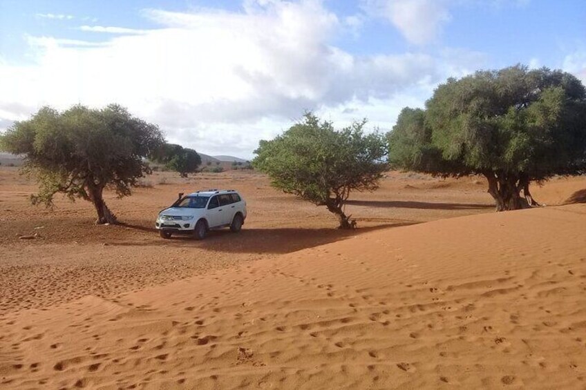4×4 Wild Nature Private Half Day Trip